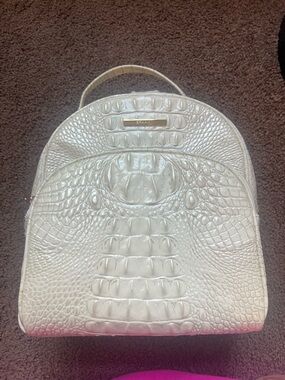 Ivory Brahmin backpack